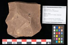 Foto (Objekt + Etikett) von Antholithes stiriacus Kovar-Eder et Z.Kvacek sp.nov. (NHMW-GEO-2024-0188-0415)